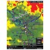 Garmin GTS800 TCAS